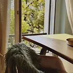 Angoli Di Pace - Duplex شقة Muralto